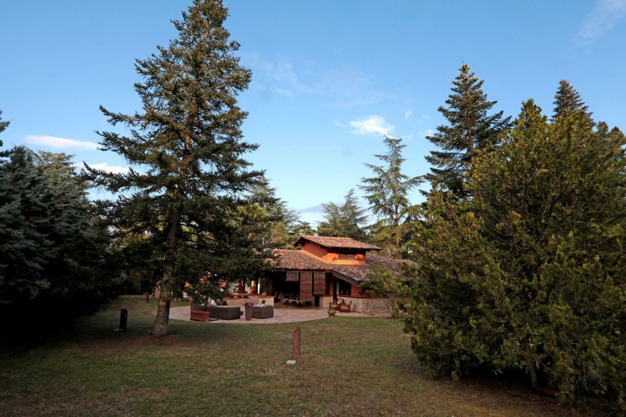 Bed and Breakfast I Lari Castel Del Monte Кастель-дель-Монте Екстер'єр фото